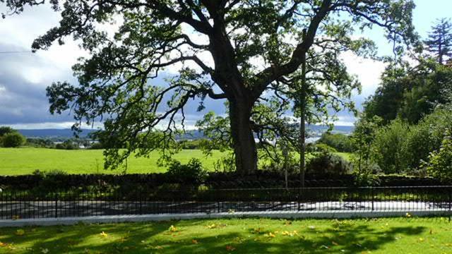 Arrochoile Bed & Breakfast Balmaha Dış mekan fotoğraf